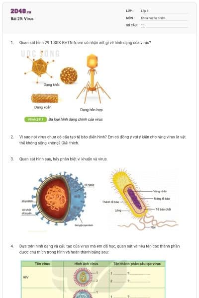 Bài 29: Virus