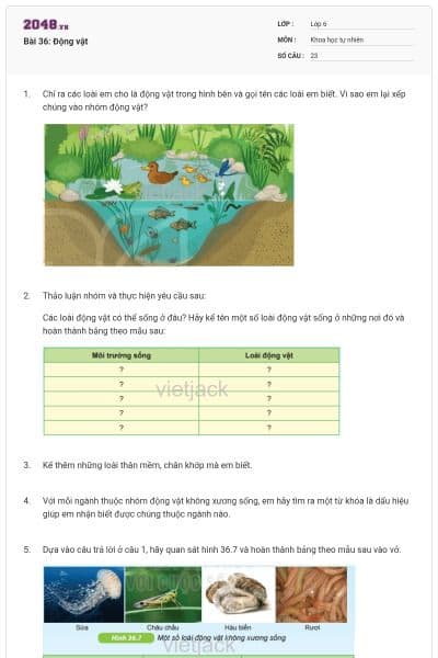Bài 36: Động vật