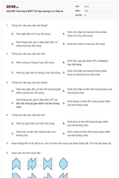 Giải SBT Toán lớp 6 KNTT Ôn tập chương 5 có đáp án