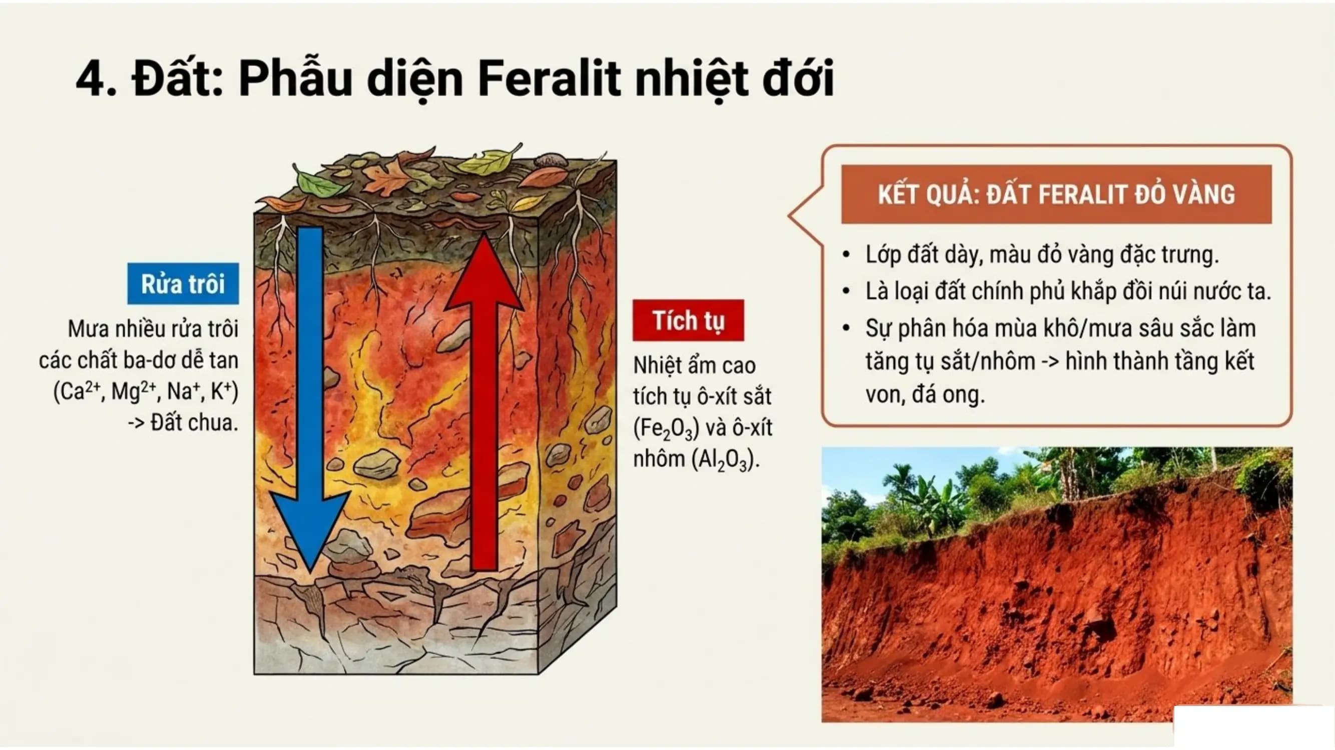 Nội dung nhập