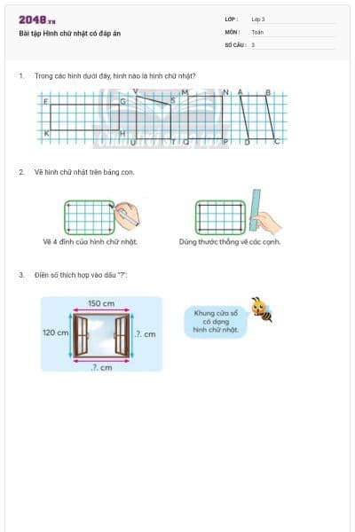 Bài tập Hình chữ nhật có đáp án