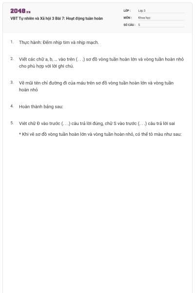 VBT Tự nhiên và Xã hội 3 Bài 7: Hoạt động tuần hoàn