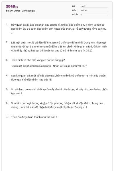 Bài 39: Quyết - Cây dương xỉ