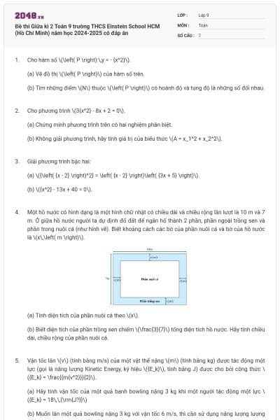 Đề thi Giữa kì 2 Toán 9 trường THCS Einstein School HCM (Hồ Chí Minh) năm học 2024-2025 có đáp án