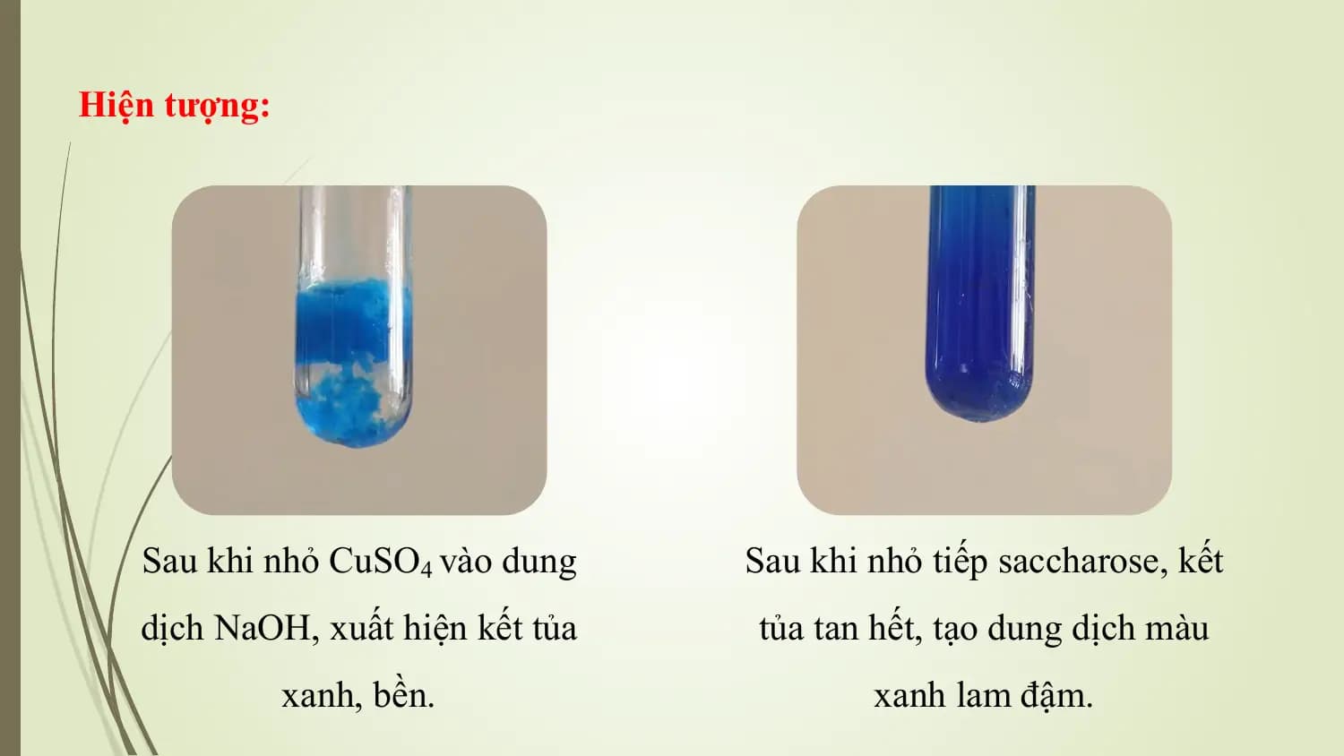 Hiện tượng:

 Sau khi nhỏ CuSO4 vào dung Sau khi nhỏ tiếp saccharose, kết
 dịch NaOH, xuất hiện kết tủa tủa tan hết, tạo dung dịch màu
 xanh, bền. xanh lam đậm.