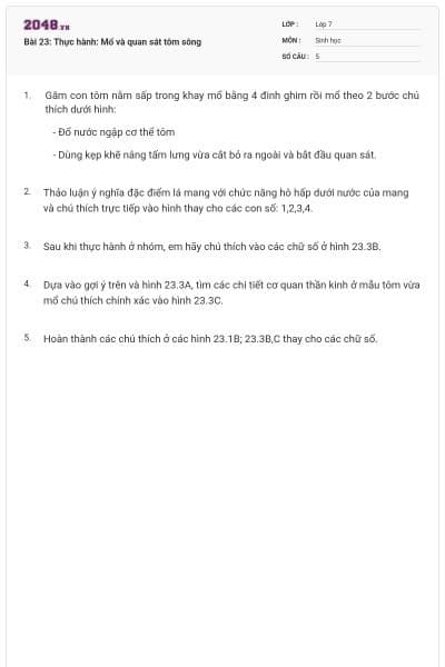 Bài 23: Thực hành: Mổ và quan sát tôm sông