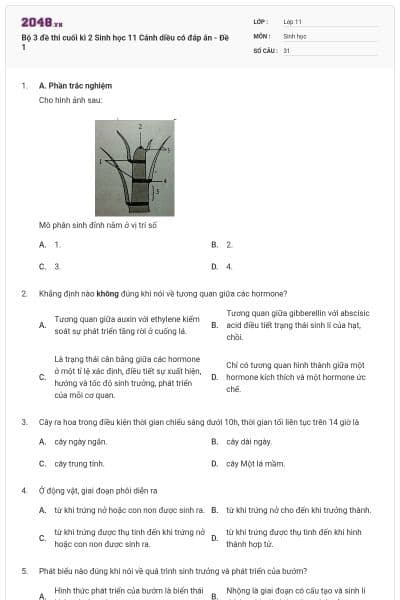 Bộ 3 đề thi cuối kì 2 Sinh học 11 Cánh diều có đáp án - Đề 1