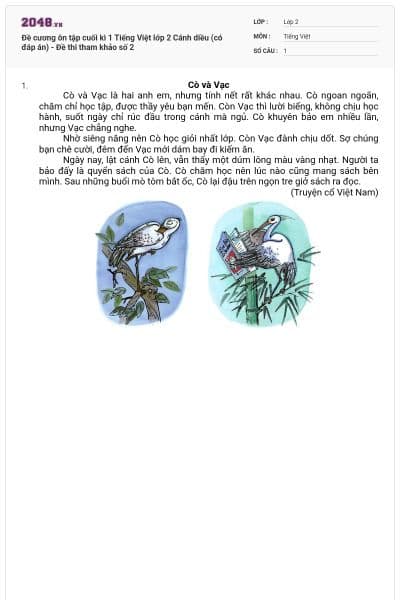Đề cương ôn tập cuối kì 1 Tiếng Việt lớp 2 Cánh diều (có đáp án) - Đề thi tham khảo số 2