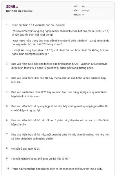 Bài 12: Hô hấp ở thực vật