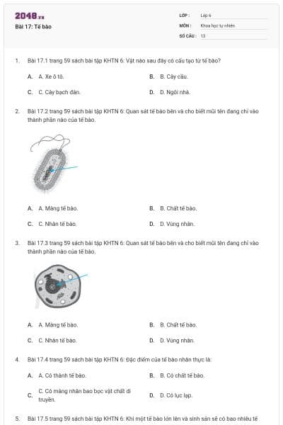 Bài 17: Tế bào