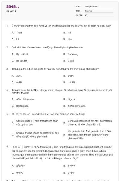 Đề số 19