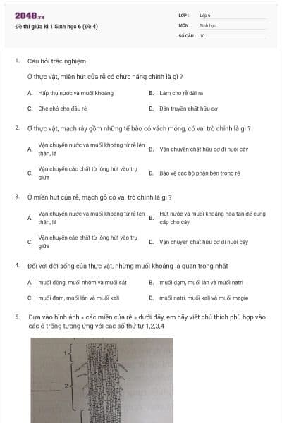 Đề thi giữa kì 1 Sinh học 6 (Đề 4)