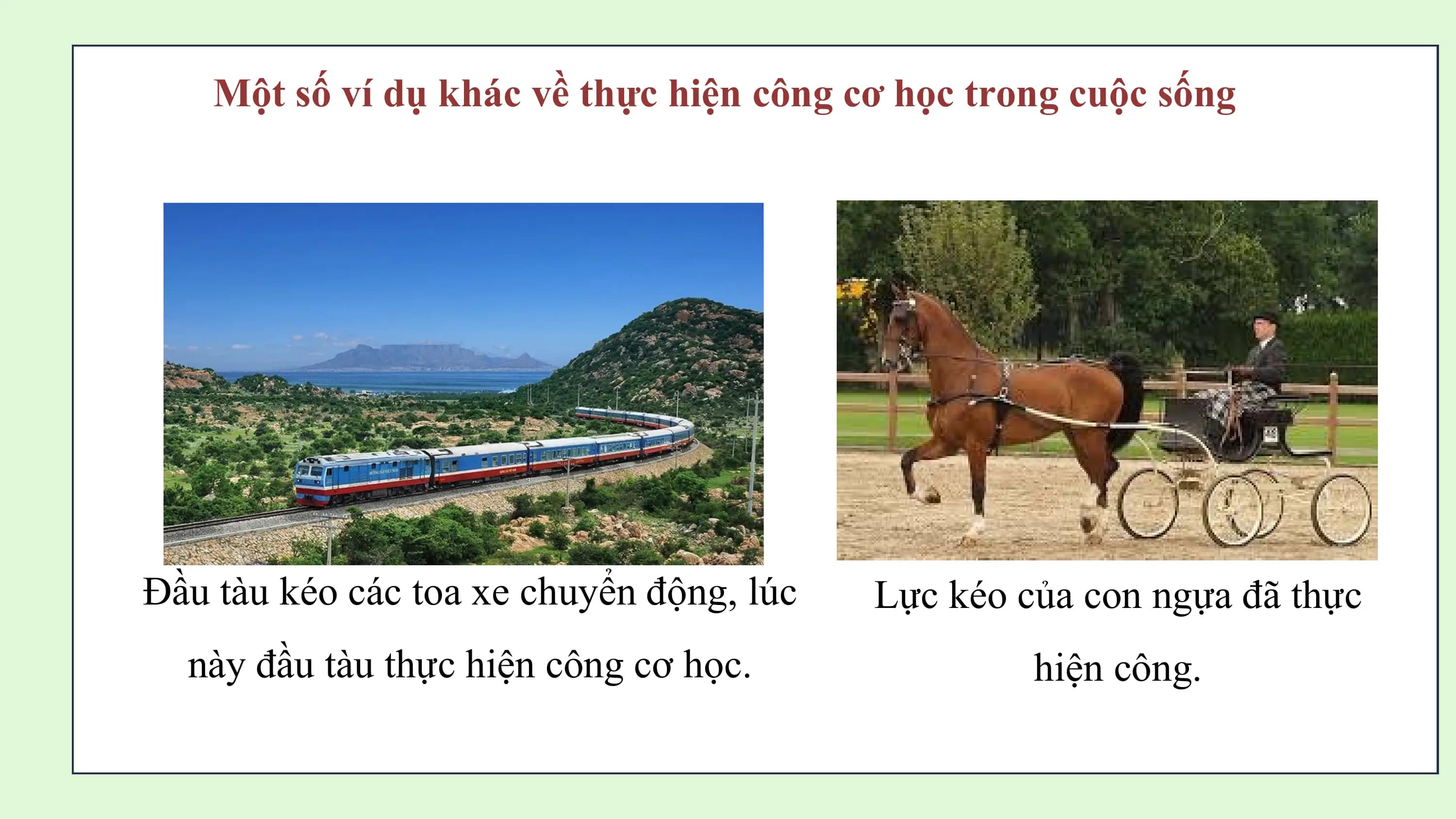 Một số ví dụ khác về thực hiện công cơ học trong cuộc sống

Đầu tàu kéo các toa xe chuyển động, lúc Lực kéo của con ngựa đã thực
 này đầu tàu thực hiện công cơ học. hiện công.