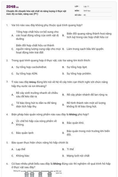 Chuyên đề chuyển hóa vật chất và năng lượng ở thực vật mức độ cơ bản, nâng cao (P1)