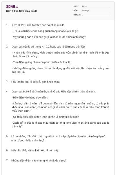 Bài 19: Đặc điểm ngoài của lá