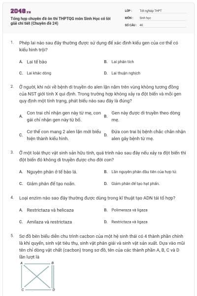 Tổng hợp chuyên đề ôn thi THPTQG môn Sinh Học có lời giải chi tiết (Chuyên đề 24)