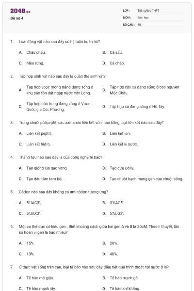 Đề số 4