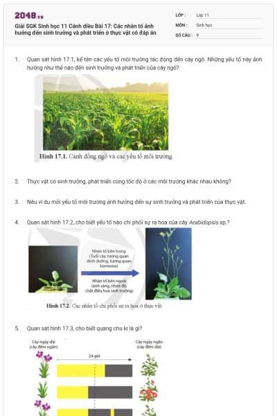 Giải SGK Sinh học 11 Cánh diều Bài 17: Các nhân tố ảnh hưởng đến sinh trưởng và phát triển ở thực vật có đáp án
