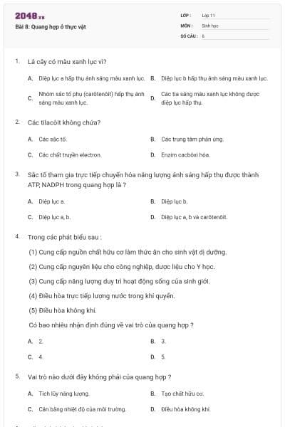 Bài 8: Quang hợp ở thực vật