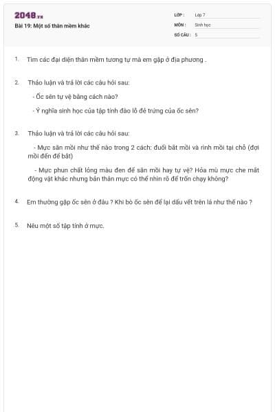 Bài 19: Một số thân mềm khác