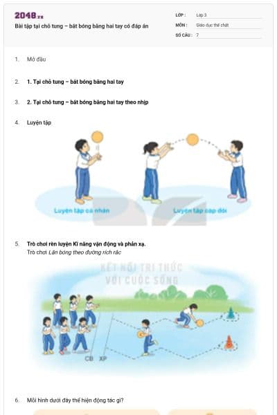 Bài tập tại chỗ tung – bắt bóng bằng hai tay có đáp án