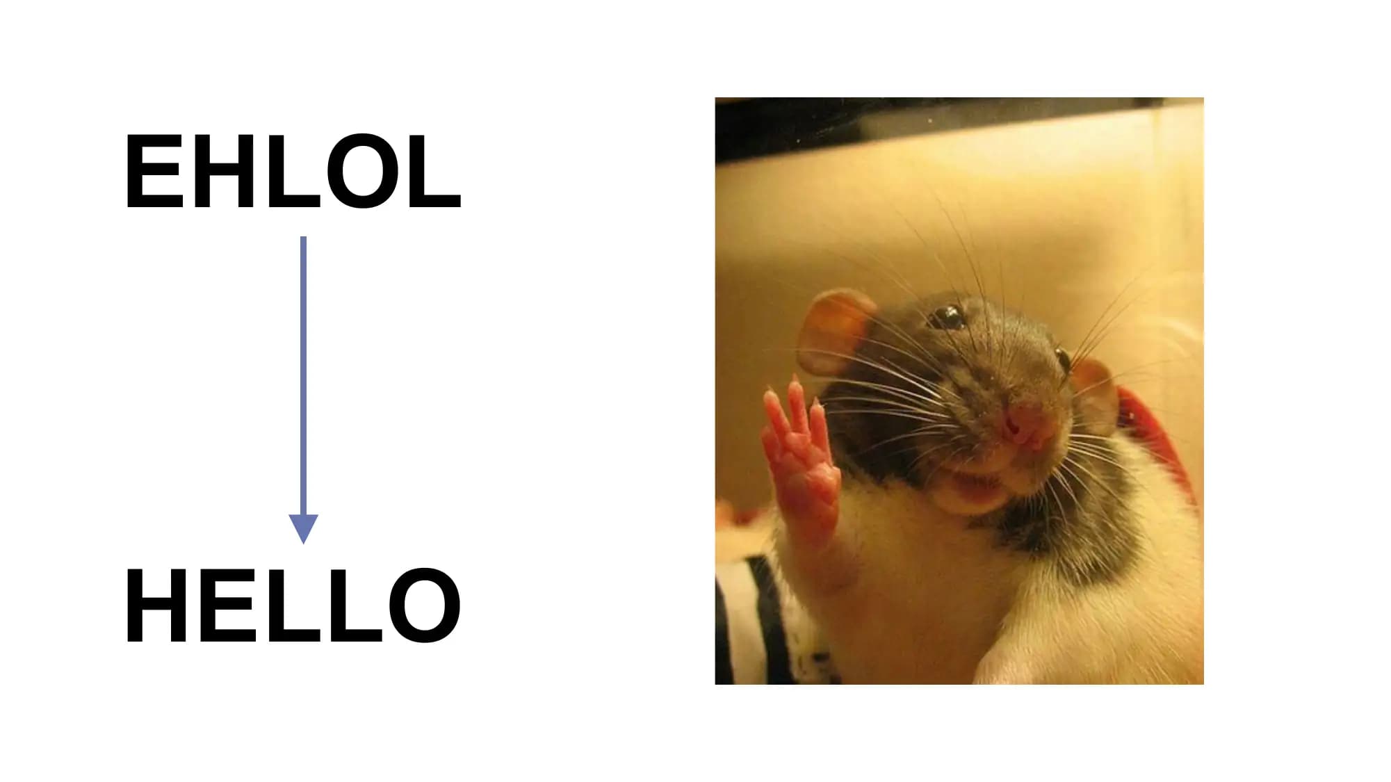 EHLOL

HELLO