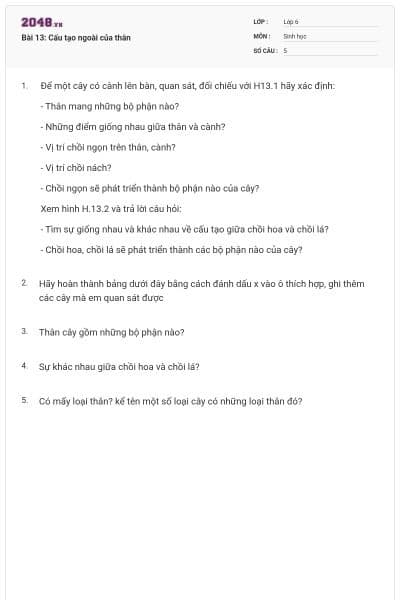 Bài 13: Cấu tạo ngoài của thân