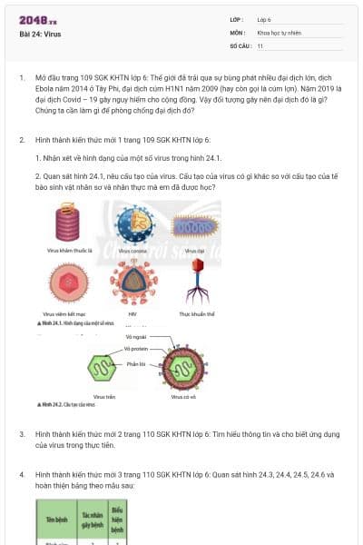 Bài 24: Virus