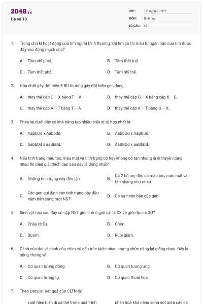 Đề số 10