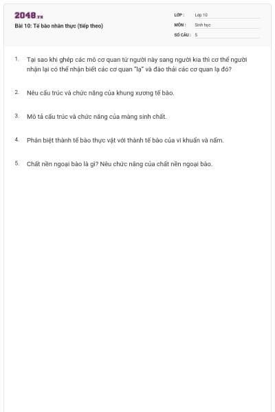Bài 10: Tế bào nhân thực (tiếp theo)