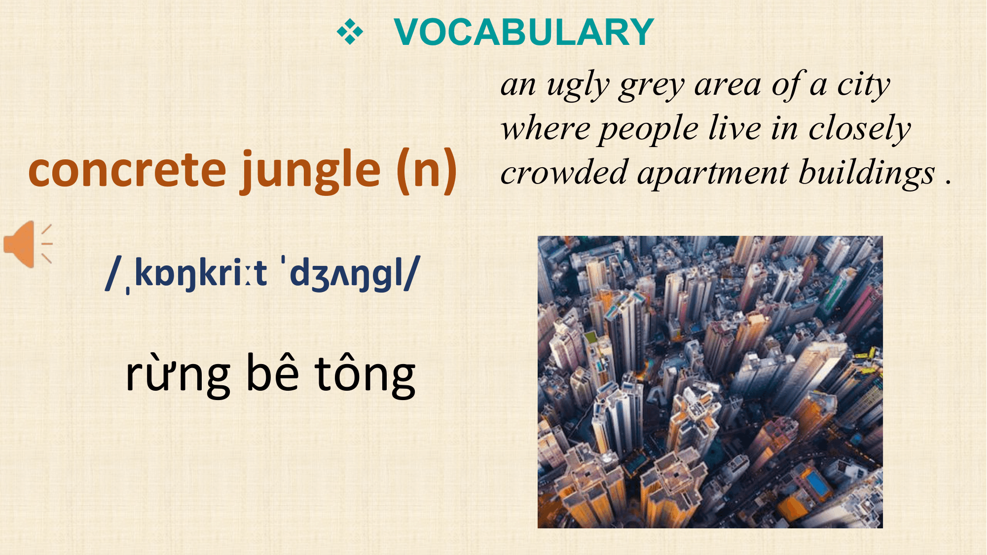 v VOCABULARY
 an ugly grey area of a city
 where people live in closely
concrete jungle (n) crowded apartment buildings .
 /ˌkɒŋkriːt ˈdʒʌŋɡl/

 rừng bê tông