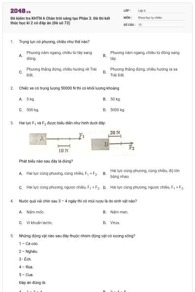 Đề kiểm tra KHTN 6 Chân trời sáng tạo Phần 3. Đề thi kết thúc học kì 2 có đáp án (Đề số 73)