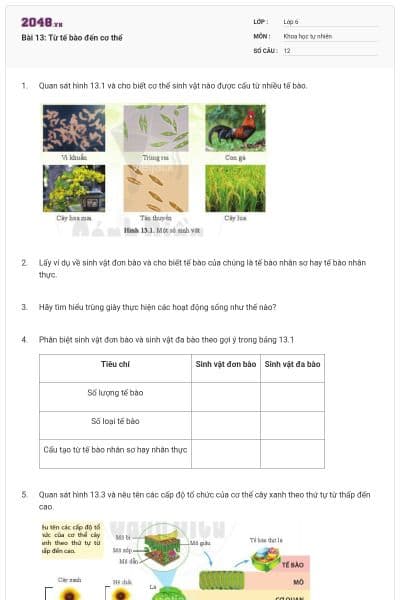 Bài 13: Từ tế bào đến cơ thể