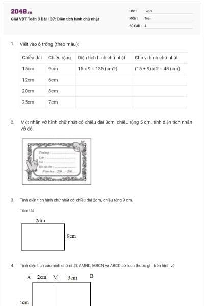 Giải VBT Toán 3 Bài 137: Diện tích hình chữ nhật