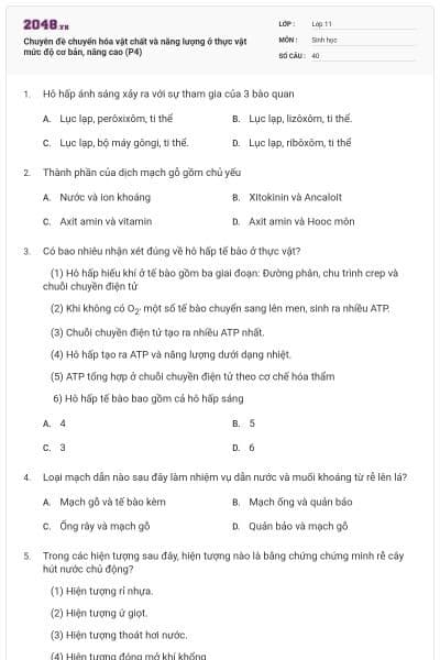 Chuyên đề chuyển hóa vật chất và năng lượng ở thực vật mức độ cơ bản, nâng cao (P4)