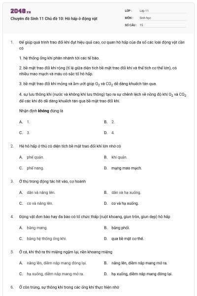 Chuyên đề Sinh 11 Chủ đề 10: Hô hấp ở động vật