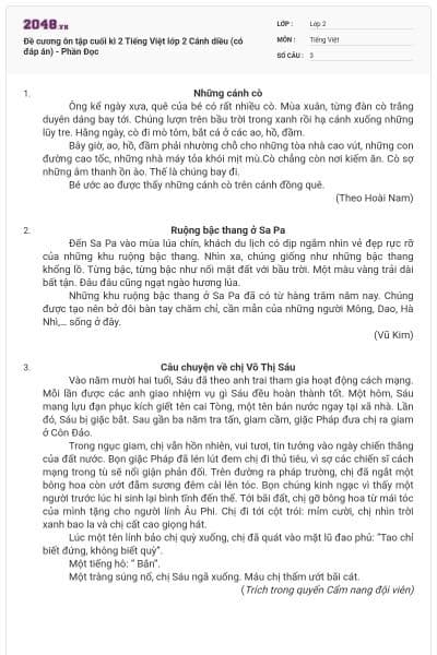Đề cương ôn tập cuối kì 2 Tiếng Việt lớp 2 Cánh diều (có đáp án) - Phần Đọc