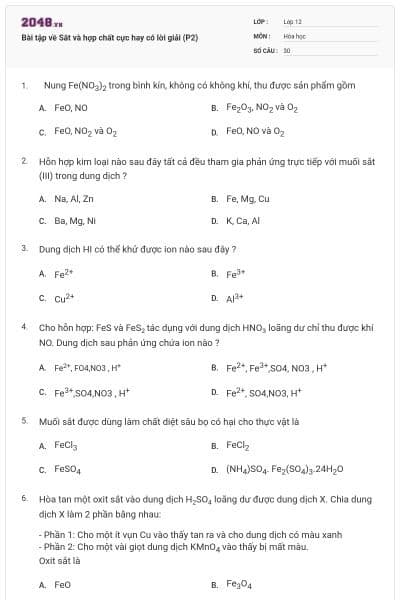 Bài tập về Sắt và hợp chất cực hay có lời giải (P2)