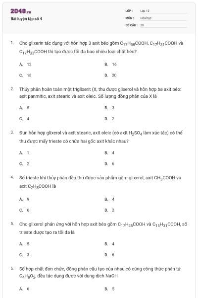 Bài luyện tập số 4