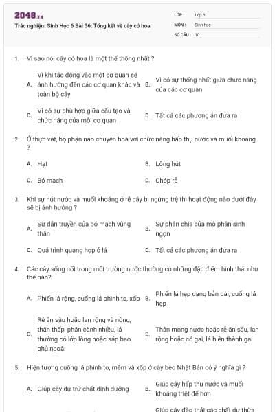 Trắc nghiệm Sinh Học 6 Bài 36: Tổng kết về cây có hoa