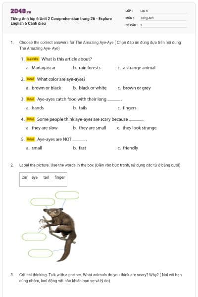 Tiếng Anh lớp 6 Unit 2 Comprehension trang 26 - Explore English 6 Cánh diều