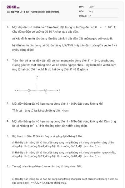Bài tập Vật Lí 11 Từ Trường (có lời giải chi tiết)