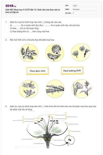 Giải VBT Khoa học 5 CTST Bài 13. Sinh sản của thực vật có hoa có đáp án