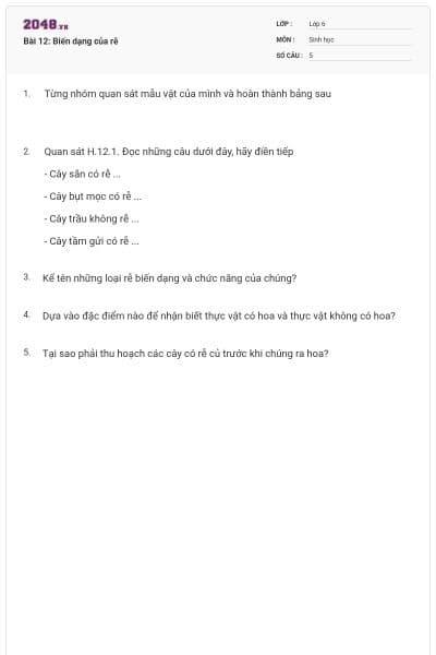 Bài 12: Biến dạng của rễ