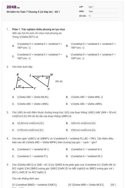 Đề kiểm tra Toán 7 Chương 4 (có đáp án) - Đề 1