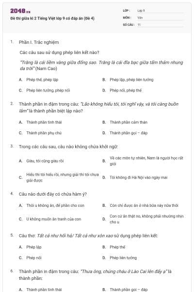 Đề thi giữa kì 2 Tiếng Việt lớp 9 có đáp án (Đề 4)