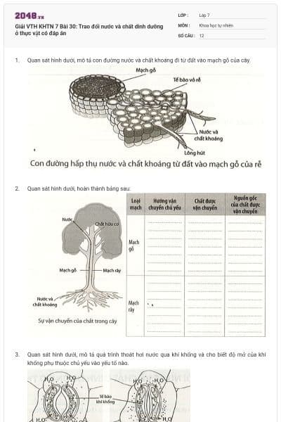 Giải VTH KHTN 7 Bài 30: Trao đổi nước và chất dinh dưỡng ở thực vật có đáp án
