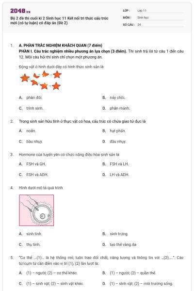 Bộ 2 đề thi cuối kì 2 Sinh học 11 Kết nối tri thức cấu trúc mới (có tự luận) có đáp án (Đề 2)