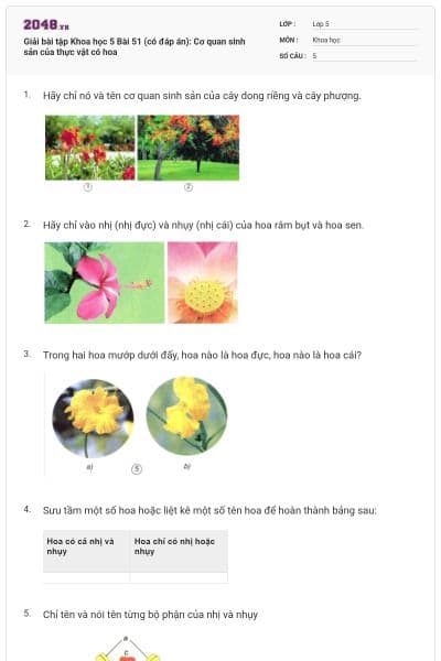 Giải bài tập Khoa học 5 Bài 51 (có đáp án): Cơ quan sinh sản của thực vật có hoa