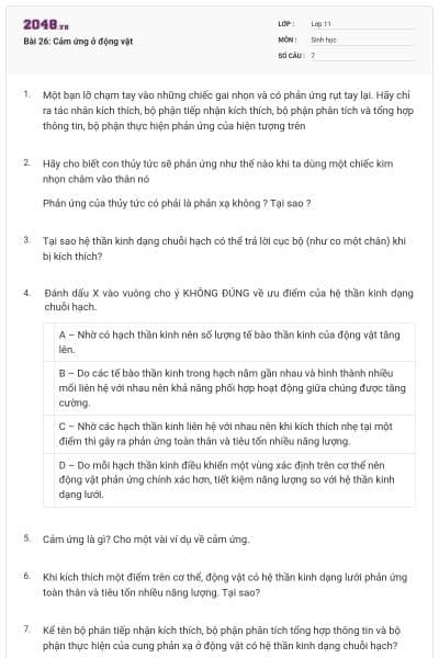 Bài 26: Cảm ứng ở động vật
